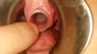 স্বর্ণকেশী ট্যাটু কর ...