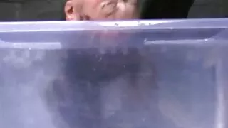 ট্রান্সসেক্সুয়াল কন ...