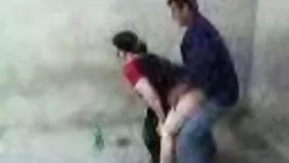 সুঠাম জাপানি কোদাল হ ...
