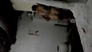 সুস্বাদু গাধা বেইলি  ...