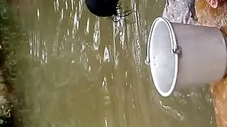 সুস্বাদু কার্ভি স্বর ...