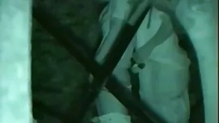 বোডাসিয়াস স্লুট কুক ...
