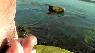 আদা কুক্কুট একটি শৃঙ ...