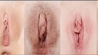 চিত্তাকর্ষক হটি আরিয ...