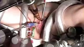 ফিশনেটের মধ্যে টকটকে ...