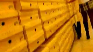 Buxom অত্যাশ্চর্য রে ...